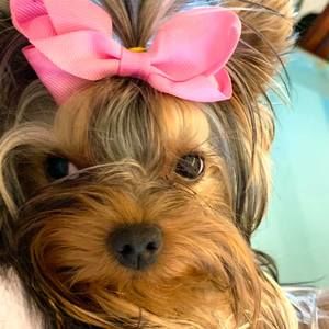 Meet your Posher, Charlene